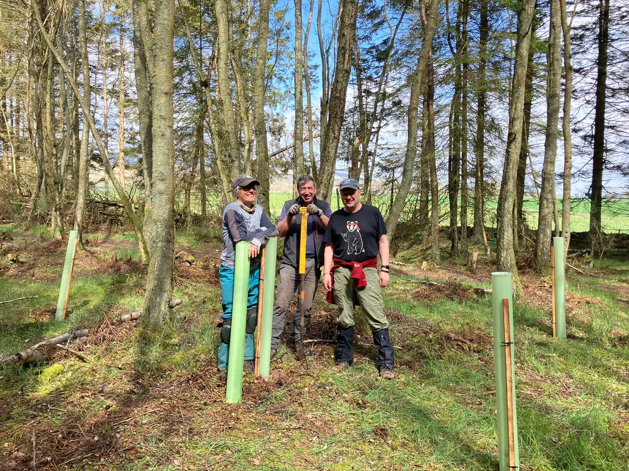 Volunteers working in Dronley Woods